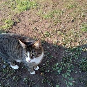 Meet your Posher, Heidi